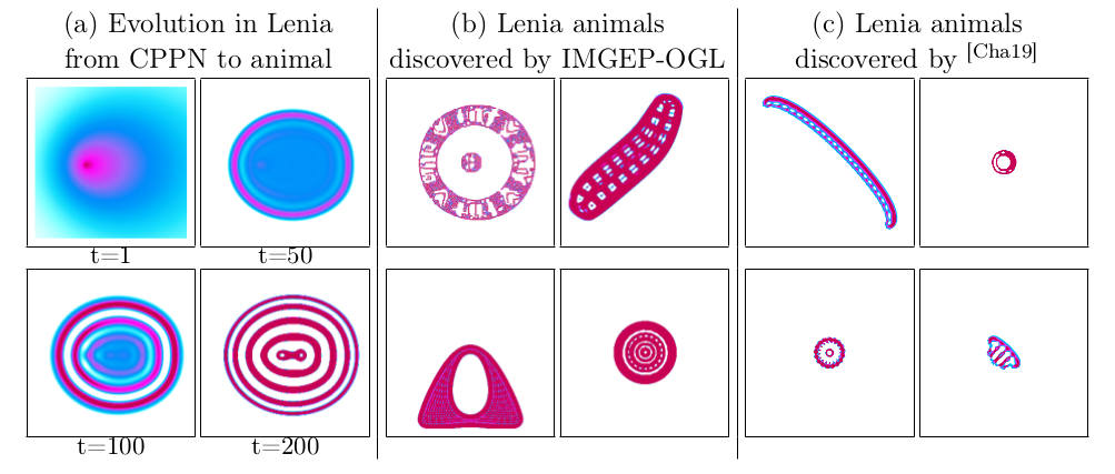 Example patterns produced by the Lenia system. Illustration of the dynamical morphing from an initial CPPN image to an animal (a). The automated discovery (b) is able to find similar complex animals as a human-expert manual search (c) by .