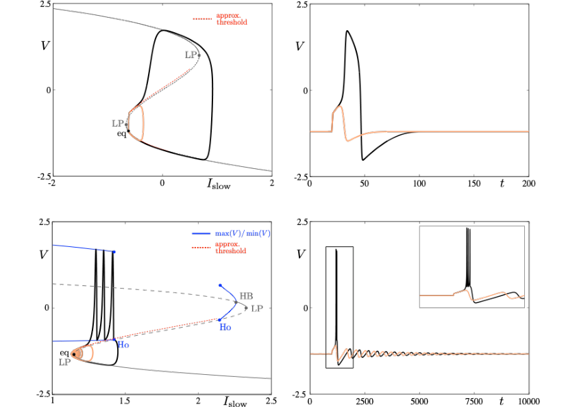 Excitability threshold as slow manifolds in a simple spiking model, namely the FitzHugh-Nagumo model, (top panels) and in a simple bursting model, namely the Hindmarsh-Rose model (bottom panels). This figure is unpublished.