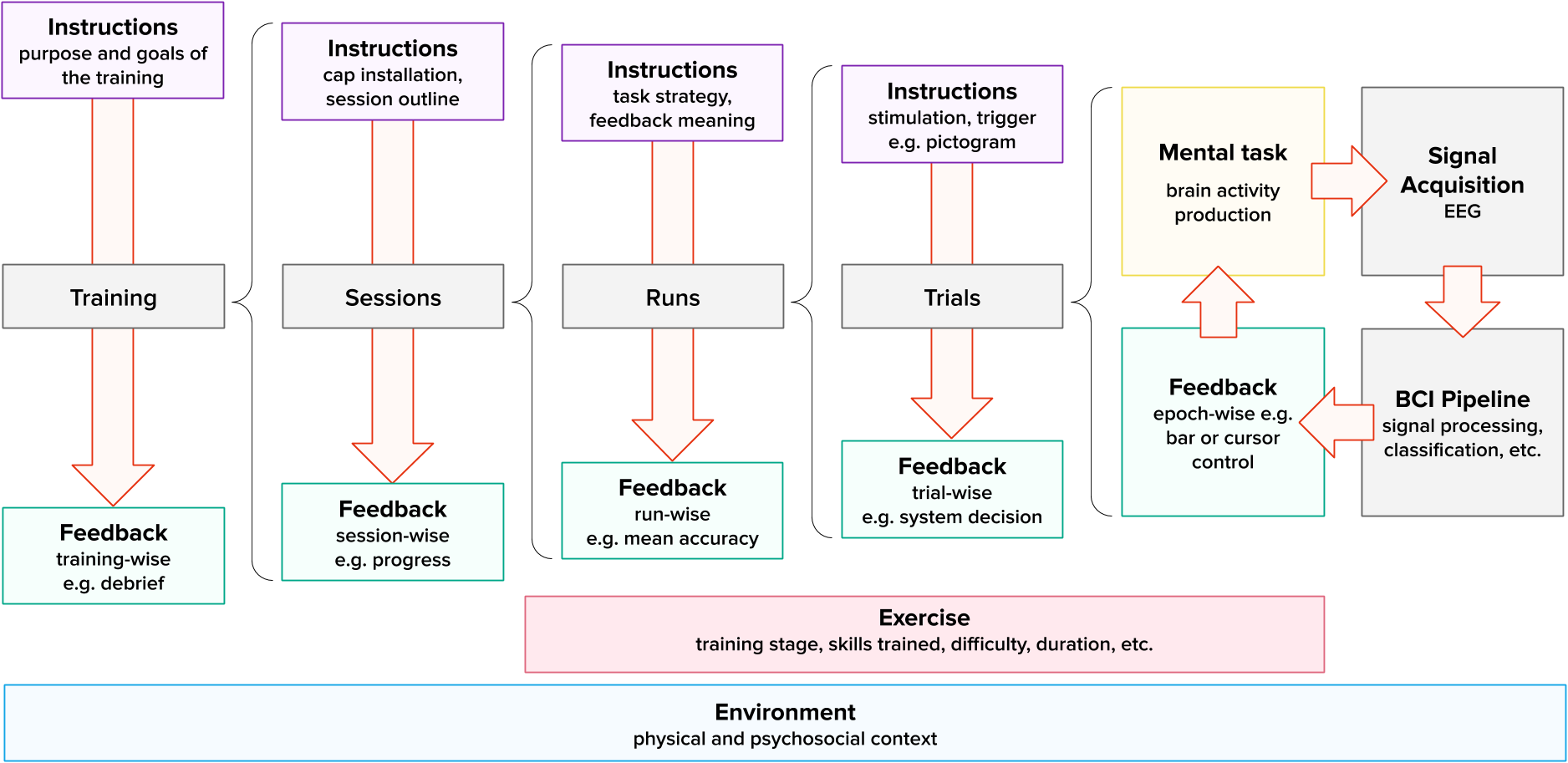 A framework for describing and studying MT-BCI user training.