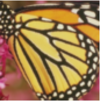 IMG/NN_butterfly.png