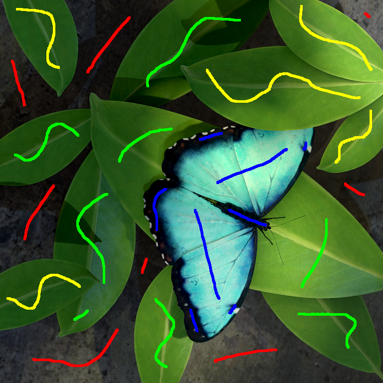 IMG/butterfly_scribbles.png