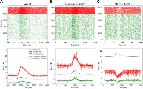 Population response to external stimuli: Adaptive Exponential Integrate-and-Fire (AdEx), Hodgkin–Huxley (HH), and Morris–Lecar (ML) models. Top: raster plot for excitatory (Exc.; green dots) and inhibitory (Inh.; red dots) neurons in response to an external excitatory stimulus (black dashed line in bottom panels). Bottom: corresponding population rate (noisy line) together with the mean and standard deviation over time predicted by the the second order mean-field model (red for inhibition and green for excitation). Superimposed the result obtained for the mean field at the first order (black dots), which are almost coincident with results at the second order. Left column is obtained for the AdEx model (A), middle column for the HH model (B), and right column for the ML model (C).

