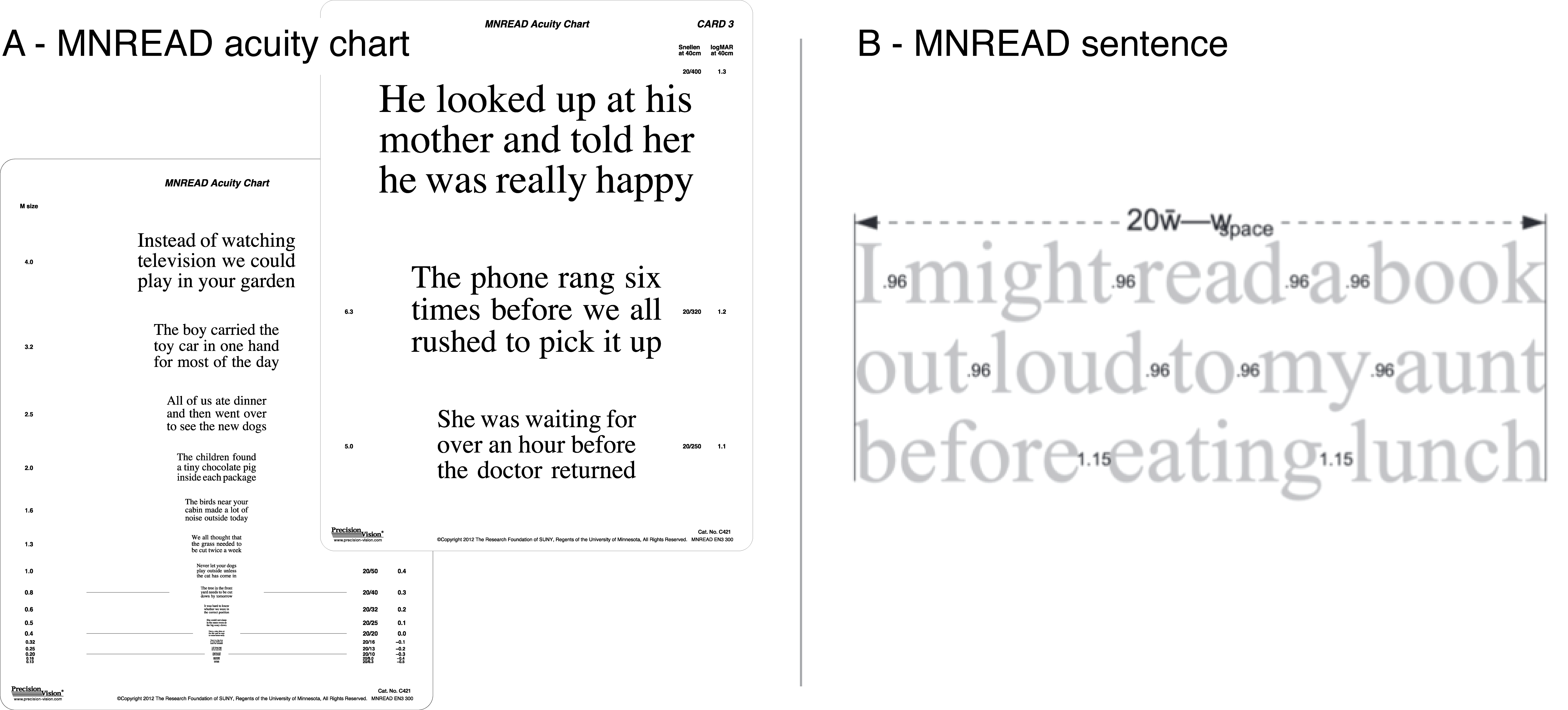 A- Front and back of the printed MNREAD chart; B- Layout constraint of a short standardized sentence 