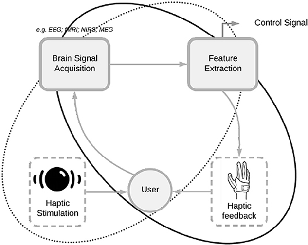 Implementation of haptic feedback in active BCIs (aBCI) and reactive BCIs (rBCI). In aBCI haptic interfaces provide the feedback from user’s neural activity whereas in rBCI haptic interfaces provide a stimulation and the elicited brain activity is further decoded and transmitted as a command. aBCI loop (black circle) and rBCI (black doted circle).