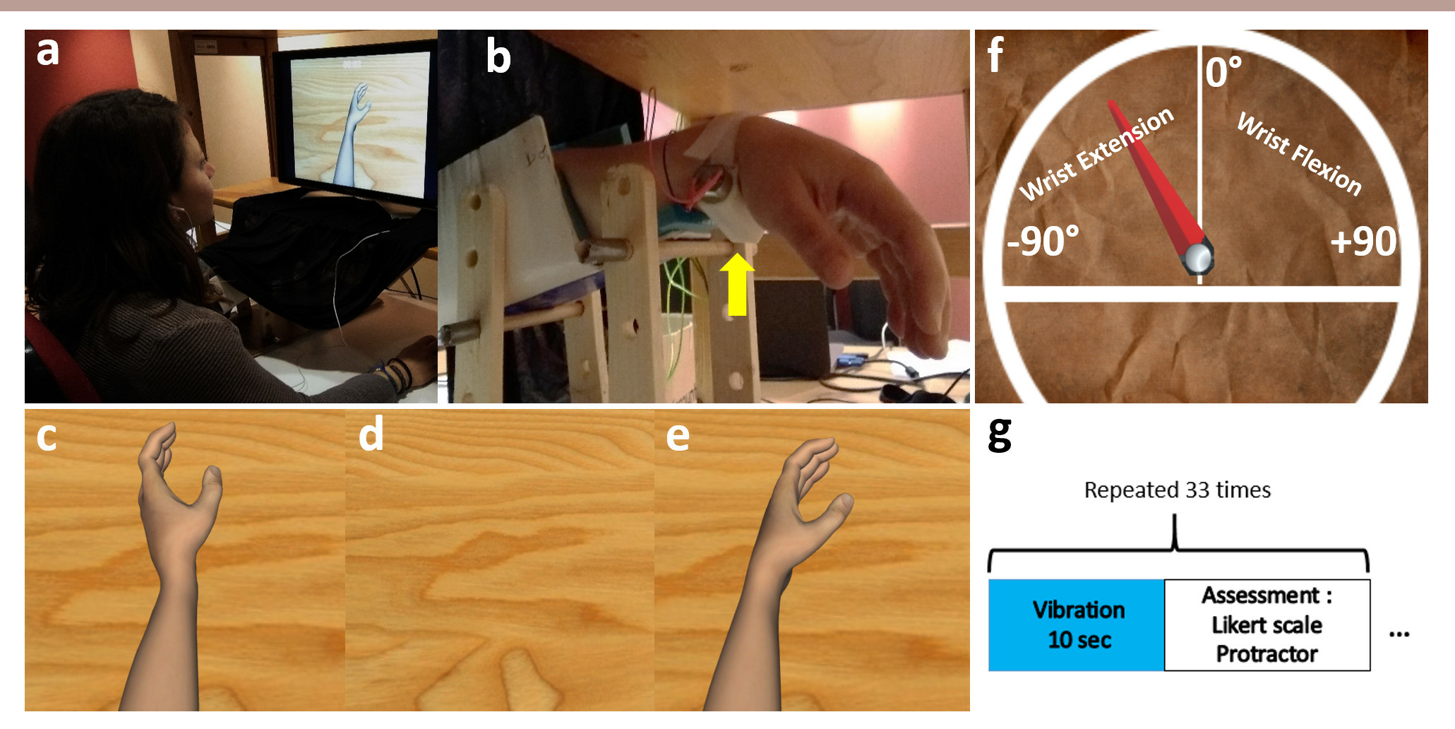 Experimental setup for studying tendon vibration illusions in VR.