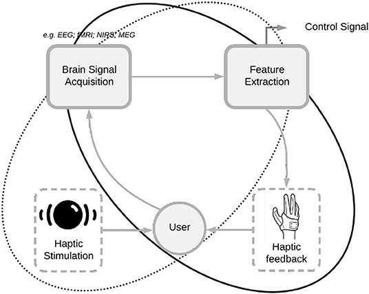 Integrating haptics in the Neurofeedback/BCI loop.