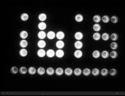 Display of the project-team name on a "bacterial billboard" (see http://team.inria.fr/ibis for the corresponding movie). A microplate containing a minimal medium (with glucose and acetate) is filmed during 36 hours. Wells contain E. coli bacteria which are transformed with a reporter plasmid carrying the luciferase operon (luxCDABE) under control of the acs promoter. This promoter is positively regulated by the CRP-cAMP complex. When bacteria have metabolized all the glucose, the cAMP concentration increases quickly and activates the global regulator CRP which turns on the transcription of the luciferase operon producing the light. The glucose concentration increases from left to right on the microplate, so its consumption takes more time when going up the gradient and the letters appear one after the other. The luciferase protein needs reductive power (FMNH2_2) to produce light. At the end, when acetate has been depleted, there is no carbon source left in the medium. As a consequence, the reductive power falls and the bacterial billboard switches off. Source: Guillaume Baptist.