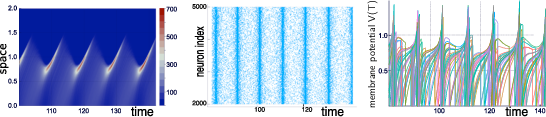 Simulations of the quasi-synchronous state of a stochastic neural network with N=5000N=5000 neurons. Left: empirical distribution of membrane potential as a function (t,v)(t, v). Middle: (raster plot) spiking times as a function of neuron index and time. Right: several membrane potentials vi(t)v_i(t) as a function of time for i∈[1,100]i\in [1,100]. Simulated with the Julia Package PDMP.jl from . This figure has been slightly modified from .
