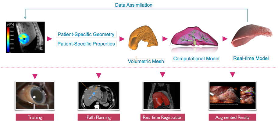 Data-driven simulations: from surgical training to patient-specific intra-operative computer-aided intervention.