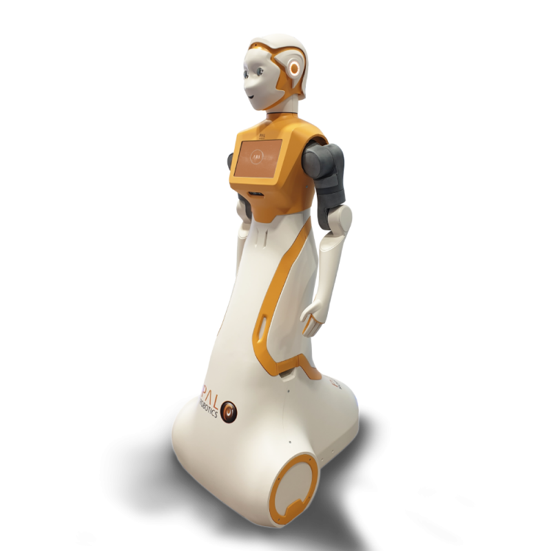 ARI is a robot prototype (not yet a commercially available product) designed and manufactured by PAL Robotics, located in Barcelona, and a member of the SPRING consortium.