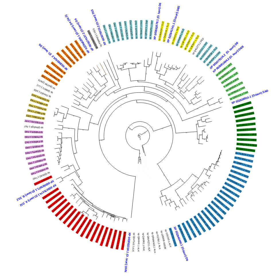 Phylogenetic structure of long-chain polyunsaturated fatty acid desaturase specificity. Highlighted are thirteen desaturases from Ostreococcus tauri