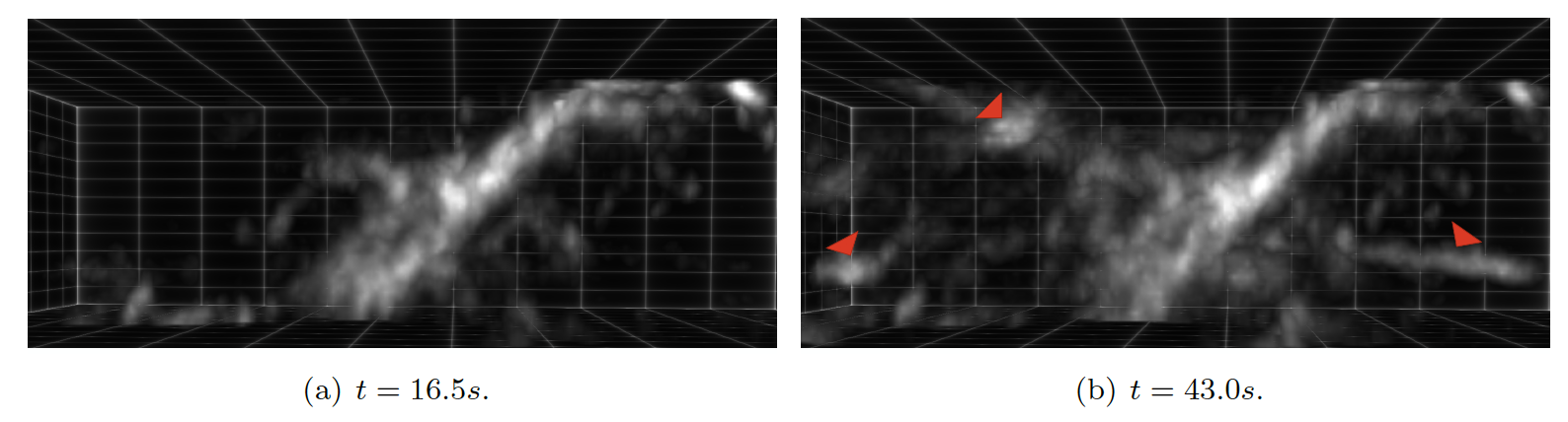 3D views of astrocytic calcium signals in real 3D+time LLSM images. Red triangles: changes in calcium signals.Voxelsize: 0.1025×0.1025×0.1066μm30.1025 \times 0.1025 \times 0.1066 \; \mathrm { \mu m}^3. Acquisition frequency: 2Hz (Source: M. Arizono, M. Ducros, U. V. Nägerl, Interdisciplinary Institute for Neuroscience, Bordeaux).