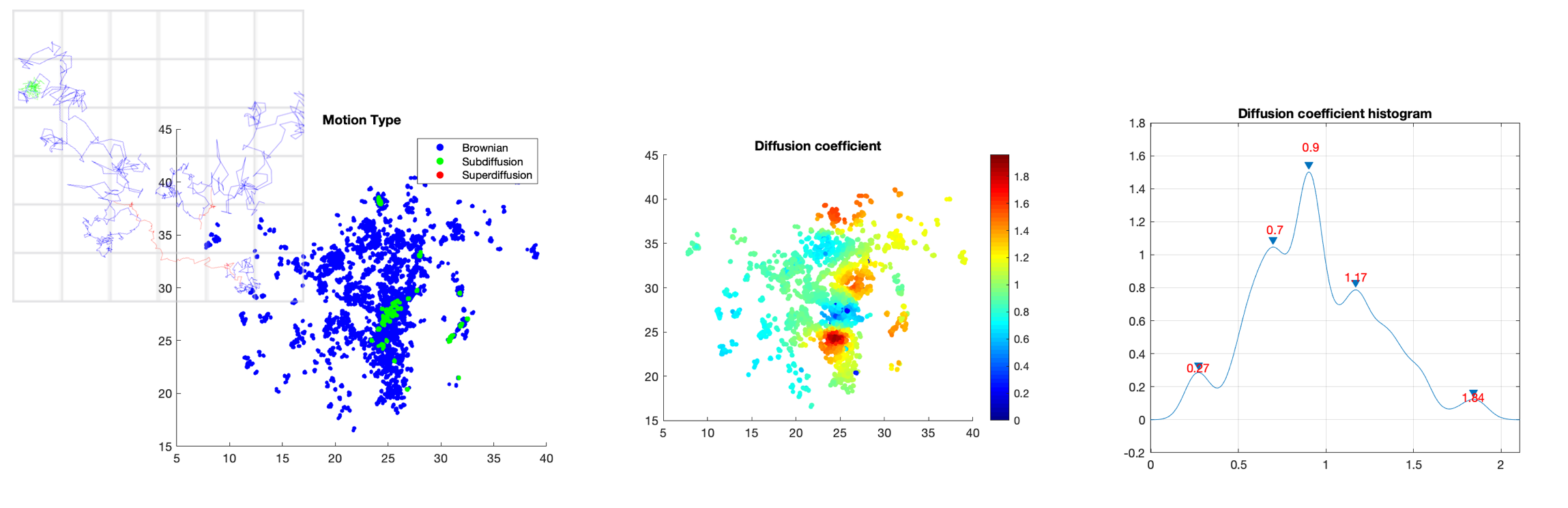 Analysis of dynamics of trancription factors in the nucleus. Left: classification of trajectories into three diffusion modes: sub-diffusion (green), super-diffusion (red), and Brownian motion (blue); middle: 2D map of the estimated diffusion coefficient; right: histogram of the 2D map.