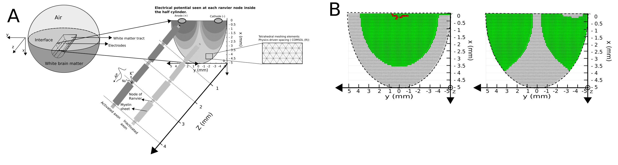A) represents the built geometry in COMSOL multiphysics (left) and the axon location for the CRRSS model computation (center). Each axon has a computed potential at each of its own Ranvier node according to a pre-determined meshing in COMSOL matching with the in vivo axons sizes. B): activation maps for a 2.5mA bipolar (probe orientation beeing either orthogonal or parallel to the tract), 500 µs phase width balanced square biphasic stimulation of a white matter pathways. Green dots show axons propagating in both direction along the axons (+z -z). Left and right plots, represent parallel and orthogonal stimulation respectively.