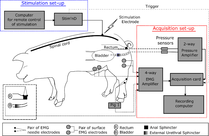 Figure 22