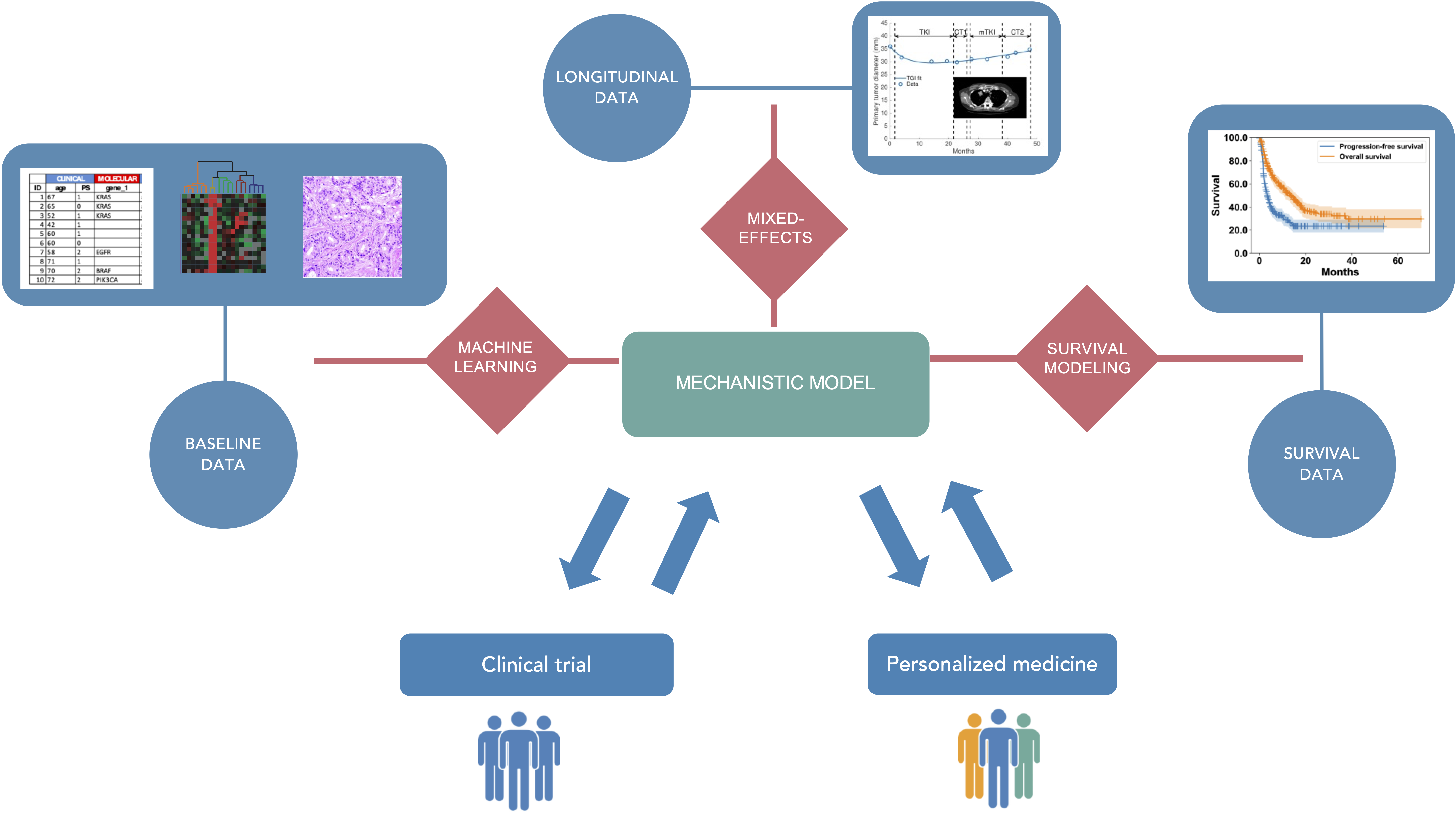 Mechanistic and statistical modeling for pharmacological and clinical oncology.