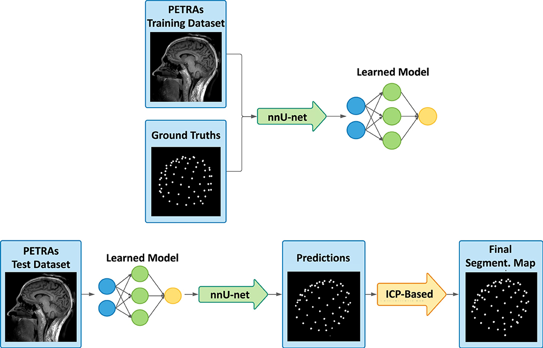 Deep Learning-Based Localization of EEG Electrodes Within MRI Acquisitions: Overview of the presented detection framework, with the learning process (top), and then the deep learning-based prediction and the registration-based refinement step (bottom). From the training dataset and the corresponding labeled ground truths, the deep learning model is trained using the nnU-Net framework. Secondly, our method consists of taking an image never seen by the model and making a predicted segmentation map of the electrodes. Then, template-based adjustments are carried out and the final labeled segmentation map is obtained.