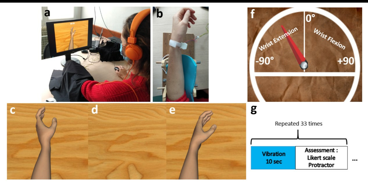 Illustrations of the equipment (example of the positioning of a left arm with a paresis after right stroke) a-b) Installation of the vibrator. The forearm was covered with a cloth. c-d-e) Presentation of the 3 virtual visual conditions (respectively Moving, Hidden, Static condition). The arrow is not visible during the experiment. f) Protractor to measure the sensation of wrist's displacement. “-90°” signifies a maximal wrist extension for the left upper limb. The description “values of degree” and “wrist extension, wrist flexion” are not seen by the participant during the trial. g) Chronology of the trial. 