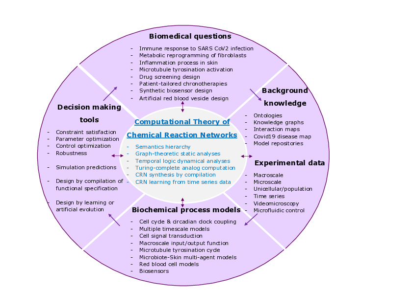 Wheel of biomedical questions, background knowledge and experimental data, biological process models and decision making tools, with the computational theory of chemical reaction networks at the center.