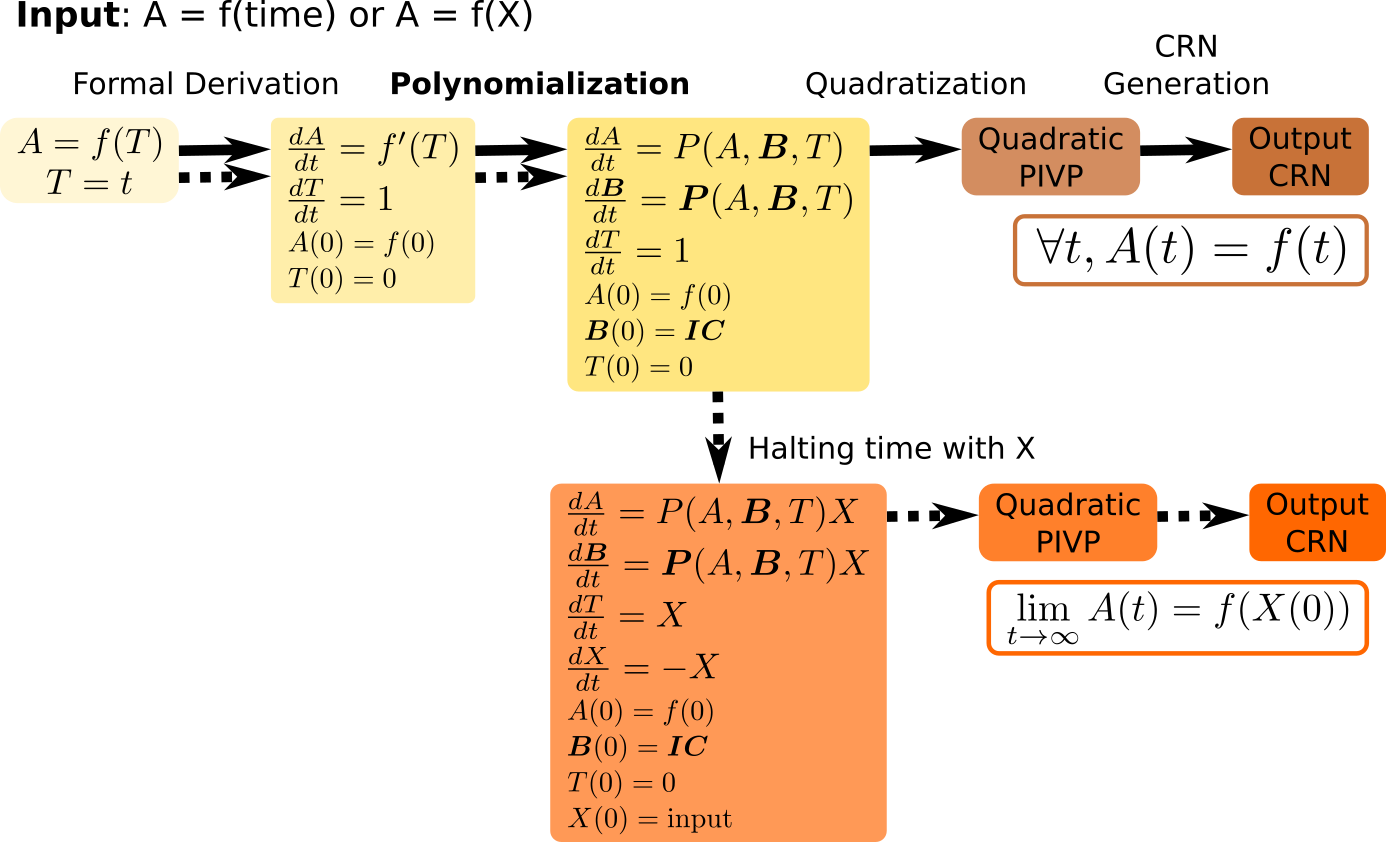 Chain of transformations to going from the symbolic representaiton of a function f(t) to an ODE of which f(t) is solution, to a polynomial ODE, to a quadratic ODE, and finally to a CRN implenting f(t) on one output molecular species.