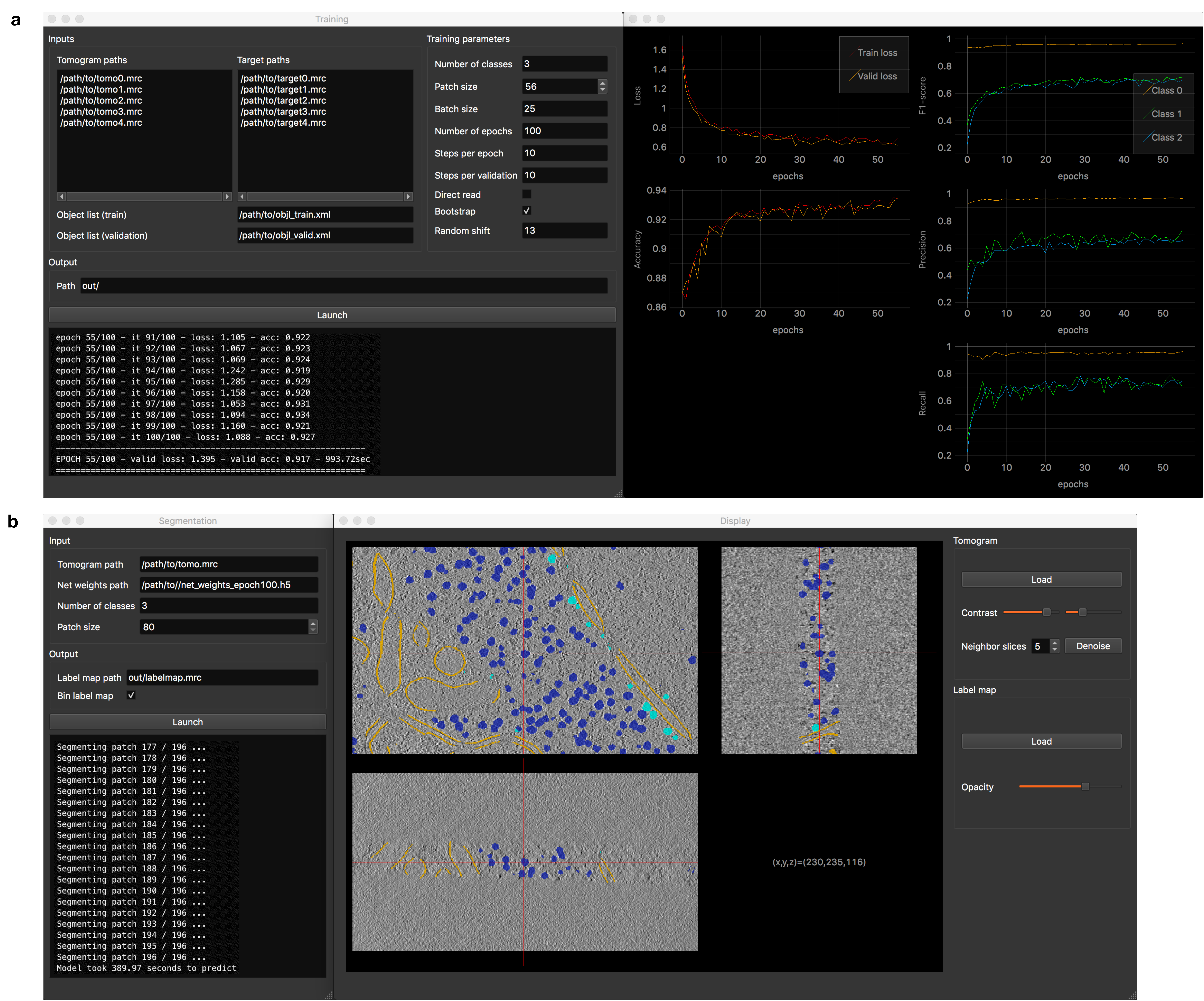DeepFinder graphical user interface.a, Training interface composed of a first window for parametrizing the procedure and a second window for displaying the training metrics in real-time. b, Segmentation interface which also opens a data visualization tool. This tool allows the user to explore the tomogram with superimposed segmentations. In addition, DeepFinder also incorporates interfaces for tomogram annotation, target generation and clustering (see the documentation (GitLab) of DeepFinder for more information).