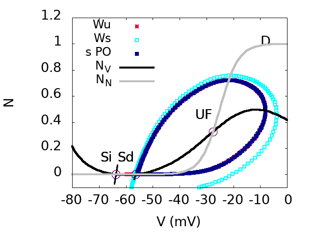 Top. bifurcation diagram of the SACs model in the plane GSG_S (effective sAHP conductance) and GAG_A (effective Ach conductance). Inset: Zoom on region D.  Bottom: From top to bottom, from left to right. Phase portraits of regions A,B,D,C.: This figures show the bifurcation diagram of the SACs model in the plane GSG_S (effective sAHP conductance) and GAG_A (effective Ach conductance). There are four regions A,B,C,D corresponding to different phase portraits. In region AA, there is a stable fixed point, corresponding to a rest state, and an unstable focus, separated by a Saddle point whose stable and unstable manifolds are shown.
In region BB, there is a unique stable fixed point, a rest state. In region CC, there is a stable periodic orbit corresponding to fast oscillations in the voltage and activation variable .
Finally, in region DD, there is a stable fixed point Si, corresponding to a rest state, and a stable periodic orbit. These two attractors are separated by a Saddle point (Sd). Region DD is very narrow in the parameters space (and hardly visible on the diagram at this scale). This is nevertheless an essential zone as discussed in the paper.