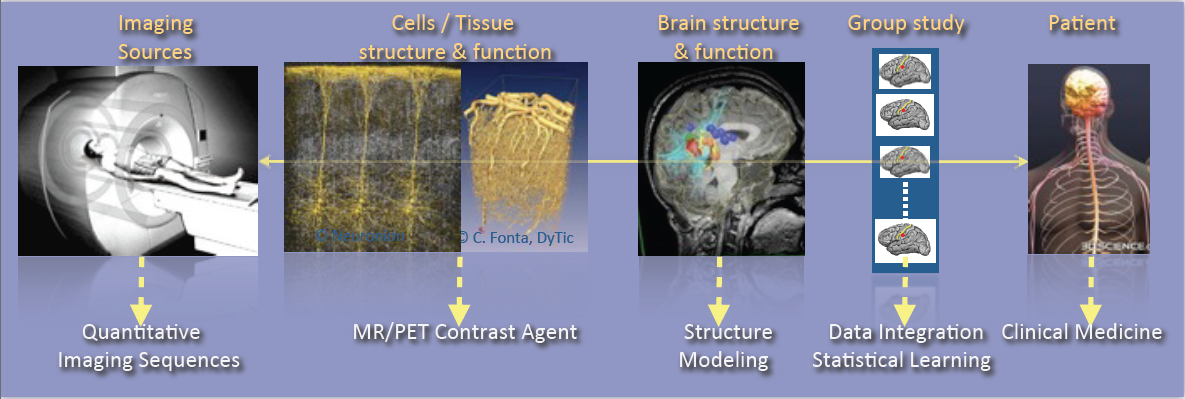 Illustration of the major scientific objectives of the Empenn team, including Imaging sources, Cells and tissue structure and function, Brain structure and function, Group study and Patient.