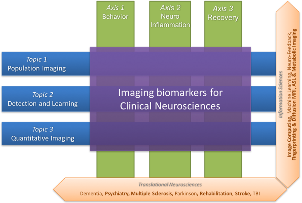 Illustration of the research topics and research axes of the Empenn team. The former (Population imaging, detection and learning and quantitative imaging) concern information sciences, and these topics intersect with the latter (Behavior, neuro-inflammation and recovery), which are translational neurosciences axes.