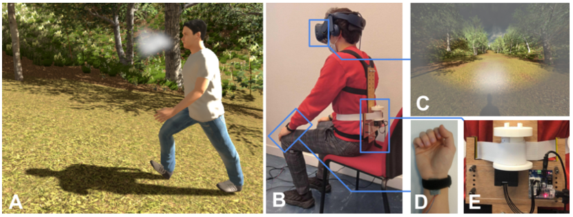 We propose a novel approach to increase the connection with a self-avatar in virtual reality (A), by displaying its physiological state and physical exertion. It is based on a multi-sensory setup (B) involving visual, auditory and haptic displays. It includes visual effects such as a periphery overlay (C) simulating heart beating; or haptic stimulation delivered with a piezoelectric actuator (D) and a novel compression belt (E) which exerts pressure on the abdomen to simulate a virtual breathing.