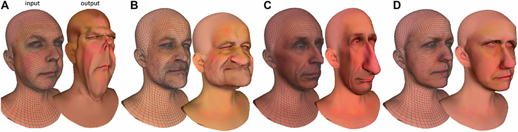 Results of our novel user-controlled rule-based approach. Each pair (A, B, C, and D) presents the input facial scan (wired on the left) and its automatically generated caricature on the right.
