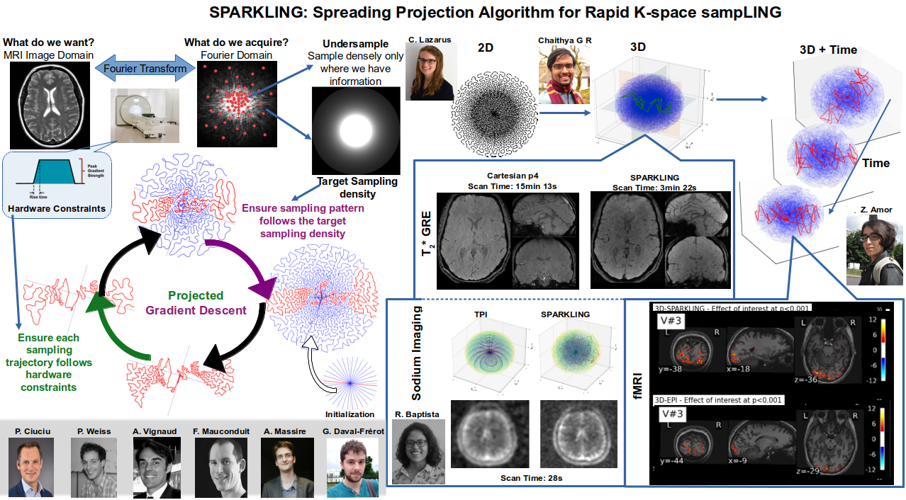 Accelerated acquisition in MRI using the optimization driven SPARKLING approach. Left: Sketch explaining how the iterative SPARKLING algorithm works, alternating a gradient descent step to match a target sampling density in k-space with a projection step onto the hardware constraints (gradient magnitude and slew rate) trajectory-wise or shot-wise. Right: Numerous applications where SPARKLING has been implemented in real MR pulse sequences for anatomical susceptibility weighted imaging (center) at 3 Tesla, Sodium imaging (bottom) and high resolution functional MRI (right) at 7Tesla. Pictures of the main team members (current and former PhD students) and external collaborators involved in this project.
