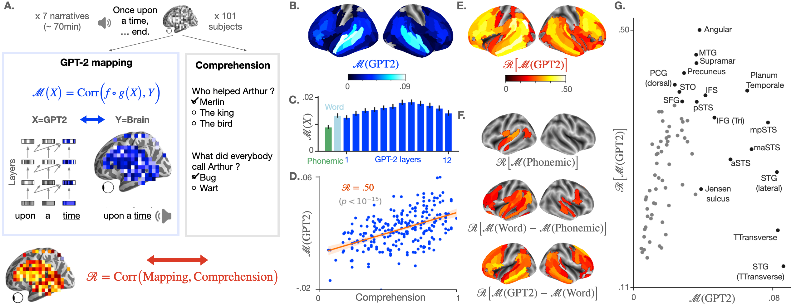 Deep language algorithms predict semantic comprehension from brain activity.A. 101 subjects listen to narratives (70 min of unique audio stimulus in total) while their brain signal is recorded using functional MRI. At the end of each story, a questionnaire is submitted to each subject to assess their understanding, and the answers are summarized into a comprehension score specific to each (narrative, subject) pair (grey box). In parallel (blue box on the left), we measure the mapping between the subject's brain activations and the activations of GPT2, a deep network trained to predict a word given its past context, both elicited by the same narrative. To this end, a linear spatio-temporal model is fitted to predict the brain activity of each voxel, given GPT2 activations as input. The degree of mapping, called "brain score" is defined for each voxel as the Pearson correlation between predicted and actual brain activity on held-out data. B. Brain scores (fMRI predictability) of the activations of the eighth layer of GPT2. Only significant regions are displayed. C. Brain scores, averaged across fMRI voxels, for different activation spaces: phonological features (word rate, phoneme rate, phonemes, tone and stress, in green), the non-contextualized word embedding of GPT2 ("Word", light blue) and the activations of the contextualized layers of GPT2 (from layer one to layer twelve, in blue). D. Comprehension and GPT2 brain scores, averaged across voxels, for each (subject, narrative) pair. In red, Pearson's correlation between the two (denoted ℛ\mathcal {R}), the corresponding regression line and the 95% confidence interval of the regression coefficient. E. Correlations (ℛ\mathcal {R}) between comprehension and brain scores over regions of interest. Only significant correlations are displayed (threshold: .05). F. Correlation scores (ℛ\mathcal {R}) between comprehension and the subjects' brain mapping with phonological features (ℳ( Phonemic \mathcal {M}(\mathrm {Phonemic}) (i), the share of the word-embedding mapping that is not accounted by phonological features ℳ( Word )-ℳ( Phonemic )\mathcal {M}(\mathrm {Word}) - \mathcal {M}(\mathrm {Phonemic}) (ii) and the share of the GPT2 eighth layer's mapping not accounted by the word-embedding ℳ( GPT 2)-ℳ( Word )\mathcal {M}(\mathrm {GPT2}) - \mathcal {M}(\mathrm {Word}) (iii). G. Relationship between the average GPT2-to-brain mapping (eighth layer) per region of interest (similar to B.), and the corresponding correlation with comprehension (ℛ\mathcal {R}, similar to D.). Only regions of the left hemisphere, significant in both B. and E. are displayed.
