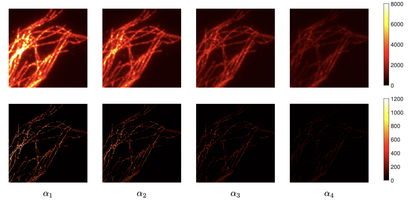 3D COL0RME reconstruction combined with MA-TIRF. First row: low-resolution and noisy images acquired at different angles of the illumination beam. Second row: super-resolved results.
