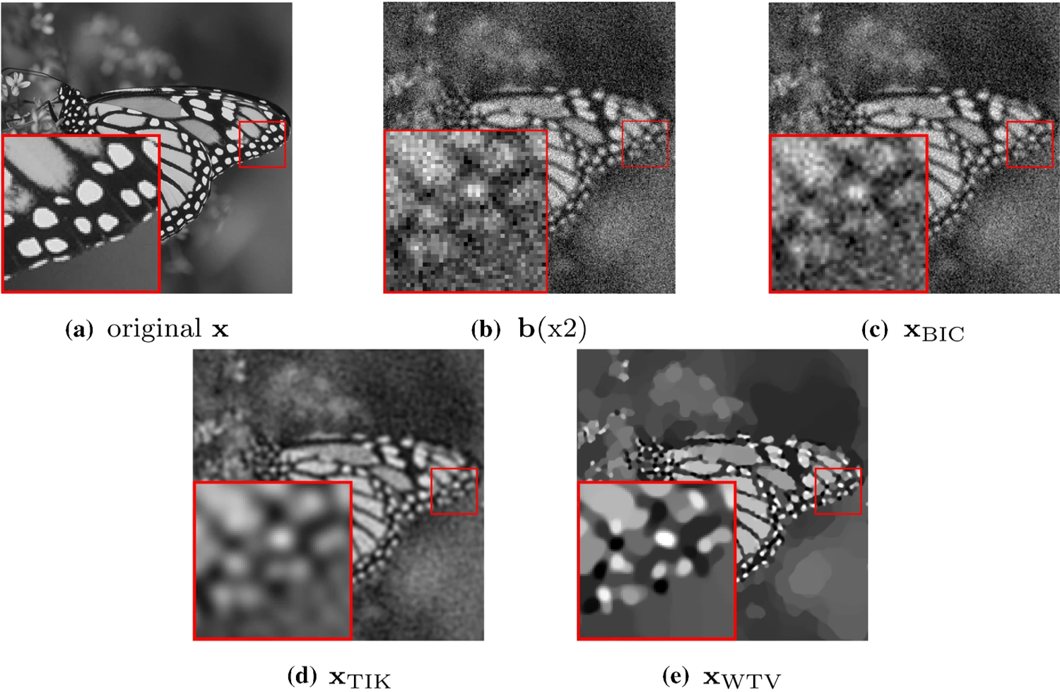 Test image (a), observed image (b), reconstruction via bicubic interpolation (c) and reconstructions obtained by applying the residual whiteness principle for automatic parameter selection to Tikhonov-ℓ2\ell _2 reconstruction model (d), and the WTV-ℓ2\ell _2 (e) variational models.